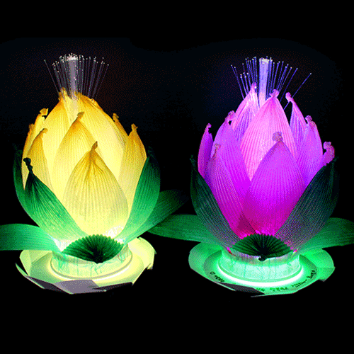 물에띄우는 LED소원꽃만들기-5인용