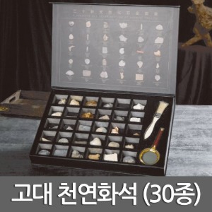 고대 천연화석 (30종)