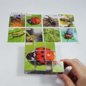 정육면체 퍼즐 곤충 (5인)