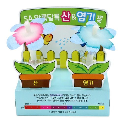 알록달록 산염기꽃(어린이 보호 용기포장)(1인용 포장)