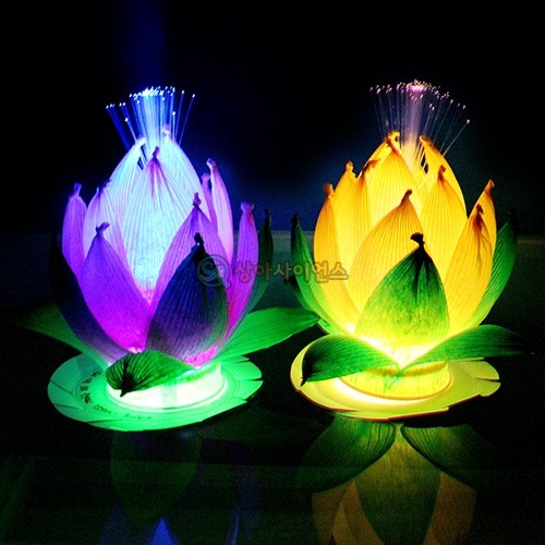 물에 띄우는 LED소원꽃만들기 (5인 세트)