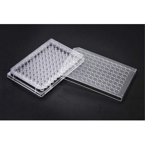 96 Well Cell Culture Plates (SPL)