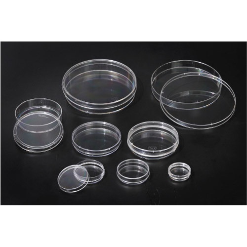 Cell Culture Dishes (SPL)