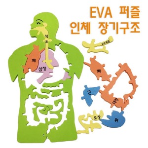 EVA 인체 장기구조 퍼즐 3SET