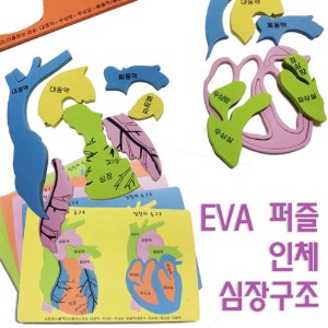 EVA 인체 심장구조 퍼즐 2SET