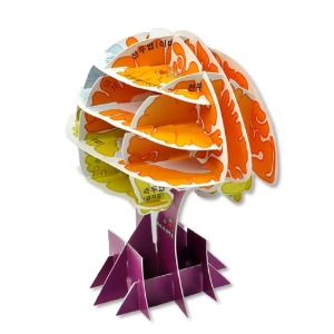 입체(3D) 뇌모형 5명 1SET