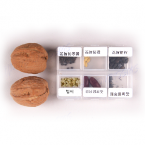 씨앗 7종 세트 (호두,참외,사과,봉숭아,채송화,강낭콩,볍씨)