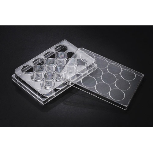 12 Well Cell Culture Plate (SPL)